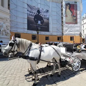 Sobieski Stefansdom Appartamento